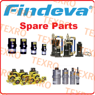 FINDEVA-FP-12-S